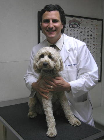 Meadowbrook Animal Clinic - Veterinarian In Rochester Hills, MI USA :: Home
